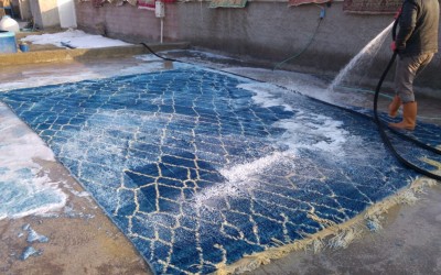 Stain Removal Guide