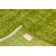 Handmade Turkish Rug Over-dyed in Light Green Color for Modern Home & Office
