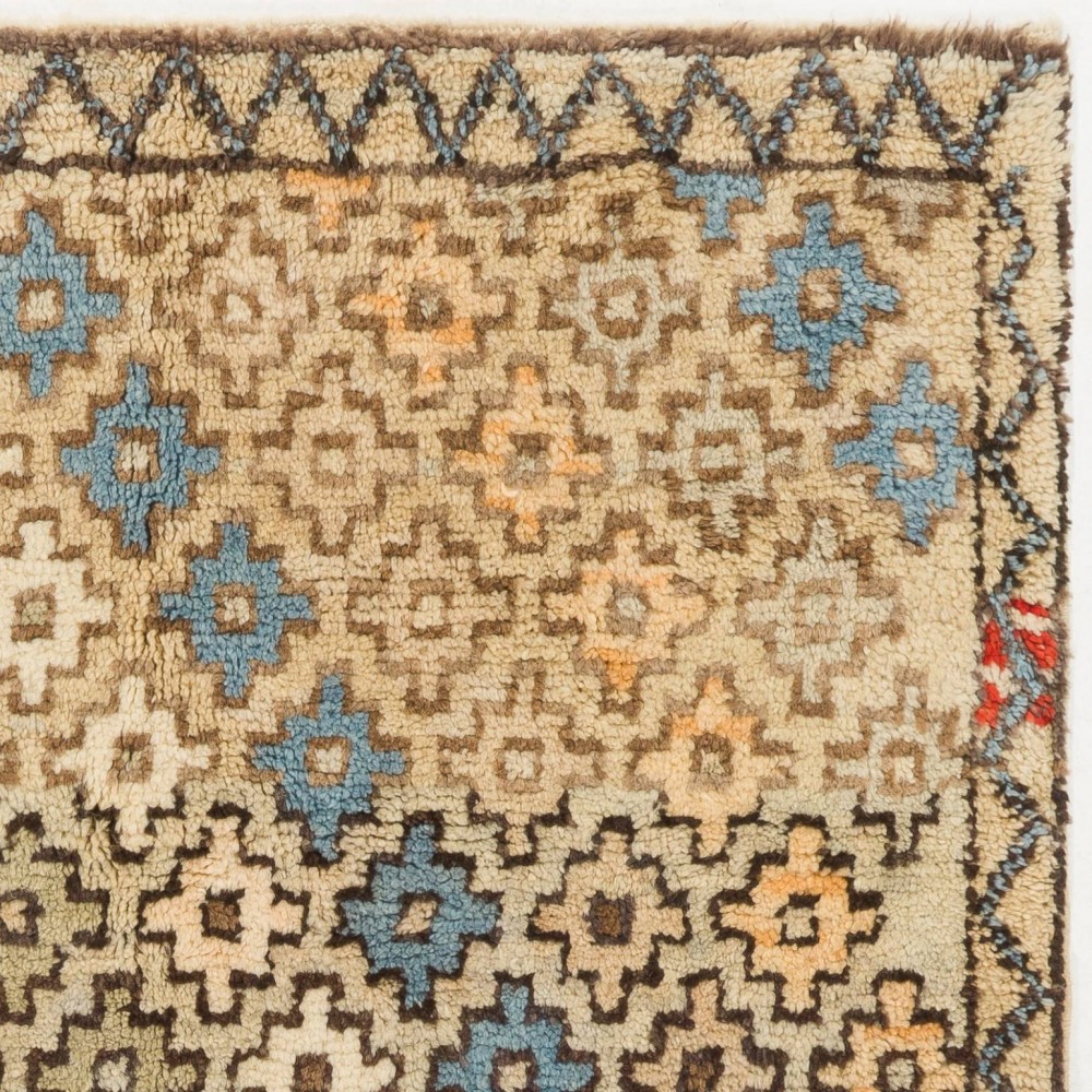Tulu Rug in Muted Colors with Overall Stylized Floral Heads Pattern