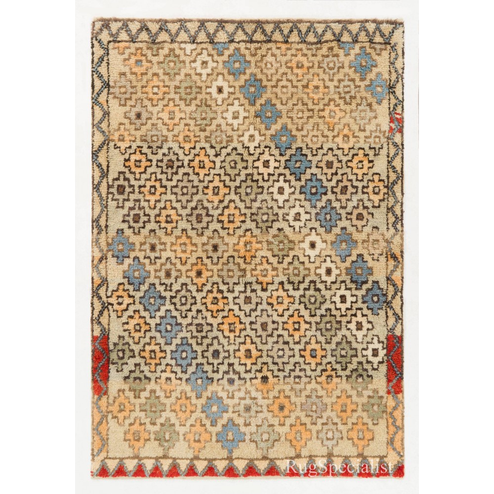 Tulu Rug in Muted Colors with Overall Stylized Floral Heads Pattern