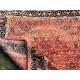 Hand-Knotted Area Rug with Floral Design, Red Wool Carpet for Living Room Hand-Knotted Area Rug with Floral Design, Red Wool Carpet for Living Room