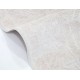 Hand Knotted Traditional Soft-Toned Large Area Rug for Home Decor | 100% Wool Living Room Carpet Hand Knotted Traditional Soft-Toned Large Area Rug for Home Decor | 100% Wool Living Room Carpet