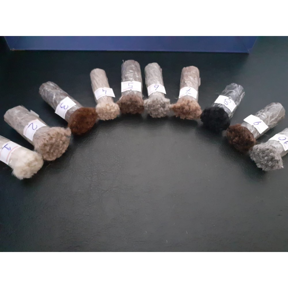 Natural Un-Dyed Wool "Tulu" Sample Rug & Natural Wool Sample Yarns