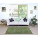 Green Color Modern Accent Rug with Floral Design, Hand-woven and Hand-knotted in Turkey