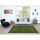 Modern Handmade Turkish Wool Area Rug with Floral Design and Green Background