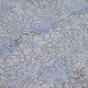 New Hand-Knotted Silk Rug. Contemporary Living Room Carpet. Custom Size Available New Hand-Knotted Silk Rug. Contemporary Living Room Carpet. Custom Size Available