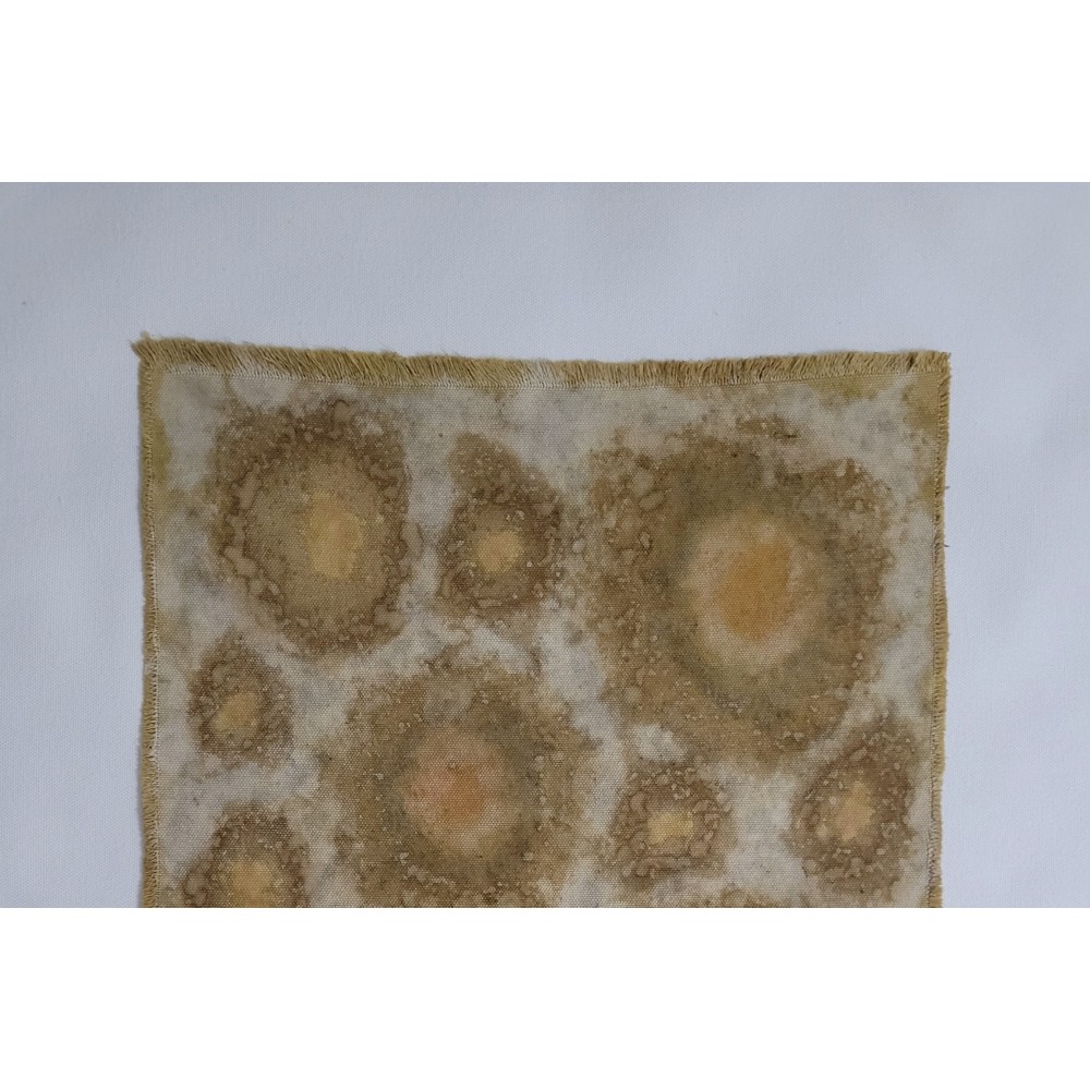 UNIVERSES (1) – Plant-Dyed Botanical Art on Cotton Canvas UNIVERSES (1) – Plant-Dyed Botanical Art on Cotton Canvas