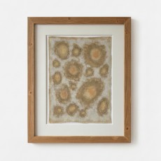UNIVERSES (1) – Plant-Dyed Botanical Art on Cotton Canvas