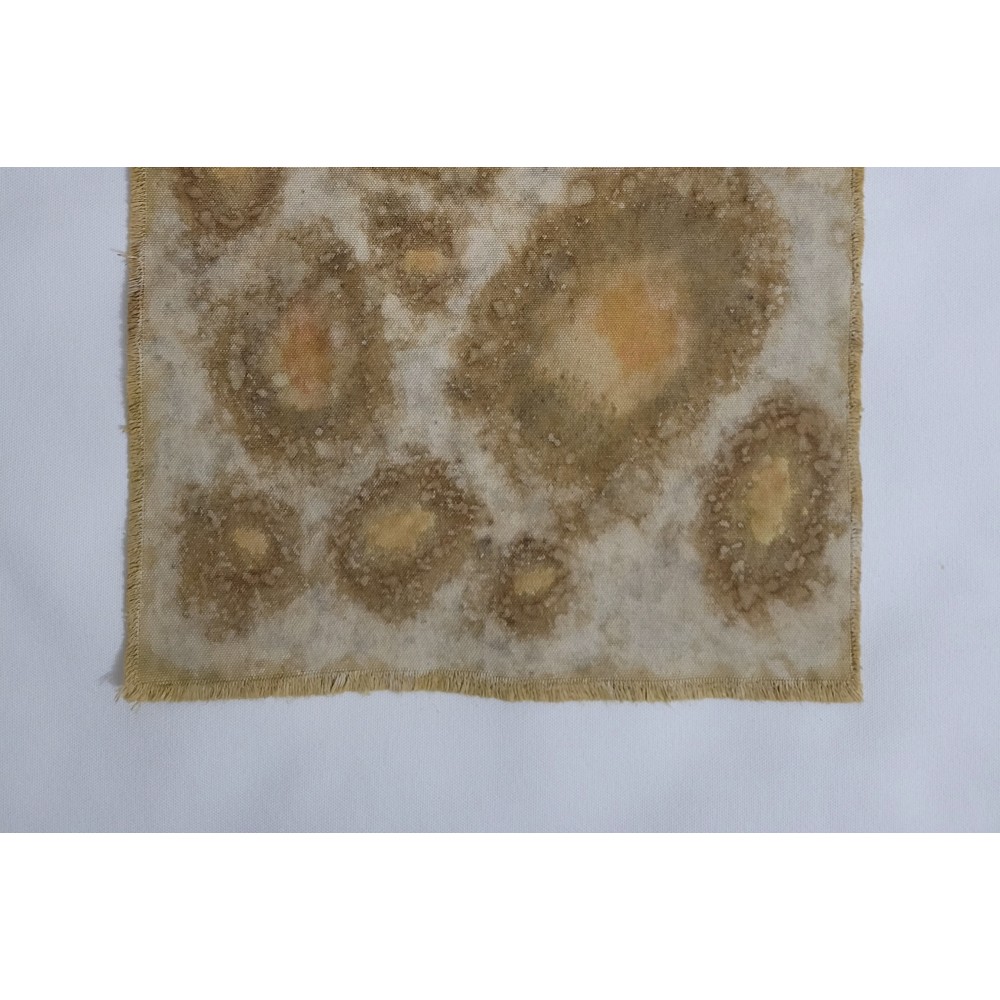 UNIVERSES (1) – Plant-Dyed Botanical Art on Cotton Canvas UNIVERSES (1) – Plant-Dyed Botanical Art on Cotton Canvas