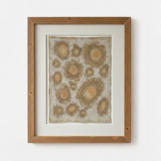 UNIVERSES (1) – Plant-Dyed Botanical Art on Cotton Canvas