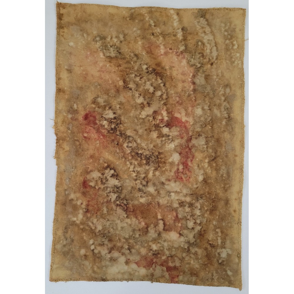 A FRAGMENT FROM ANOTHER PLANET (5) – Plant-Dyed Botanical Art on Cotton Canvas A FRAGMENT FROM ANOTHER PLANET (5) – Plant-Dyed Botanical Art on Cotton Canvas