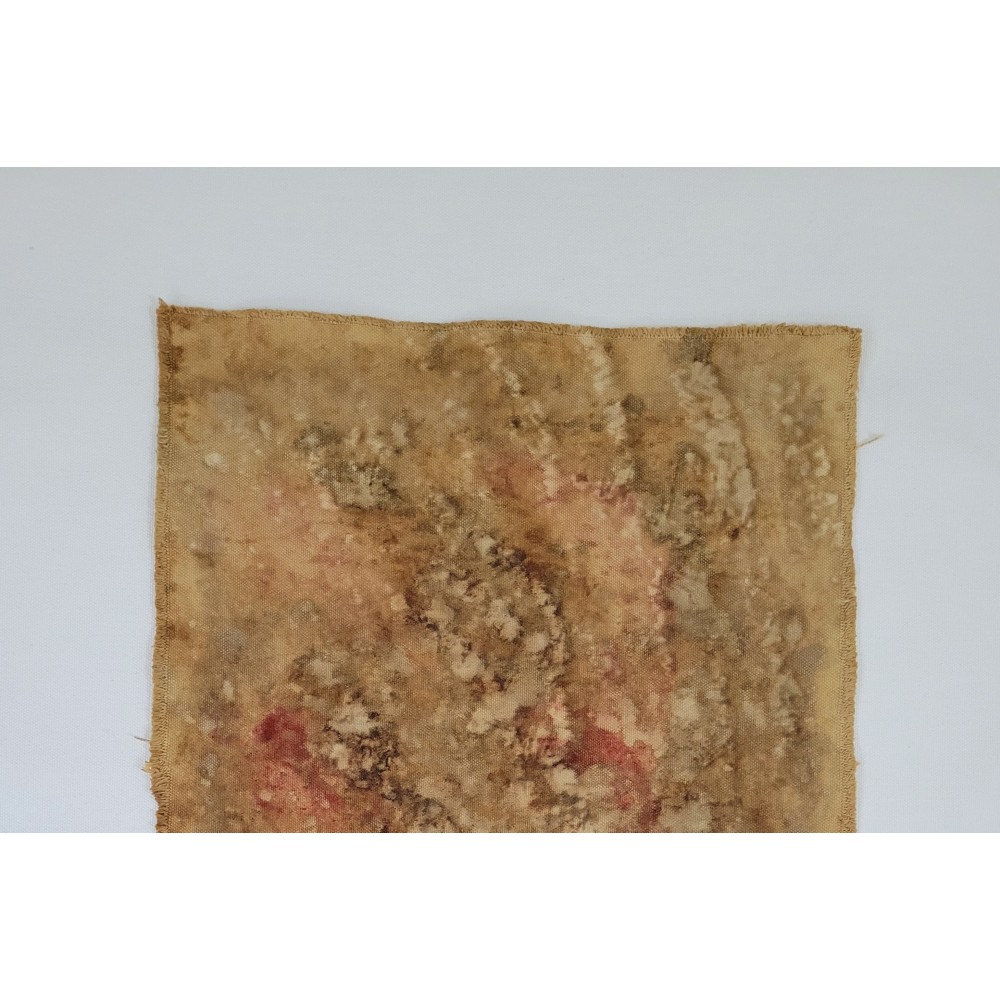 A FRAGMENT FROM ANOTHER PLANET (5) – Plant-Dyed Botanical Art on Cotton Canvas A FRAGMENT FROM ANOTHER PLANET (5) – Plant-Dyed Botanical Art on Cotton Canvas