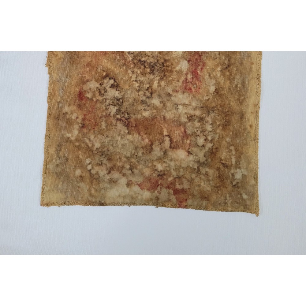 A FRAGMENT FROM ANOTHER PLANET (5) – Plant-Dyed Botanical Art on Cotton Canvas A FRAGMENT FROM ANOTHER PLANET (5) – Plant-Dyed Botanical Art on Cotton Canvas