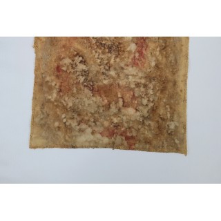 A FRAGMENT FROM ANOTHER PLANET (5) – Plant-Dyed Botanical Art on Cotton Canvas A FRAGMENT FROM ANOTHER PLANET (5) – Plant-Dyed Botanical Art on Cotton Canvas