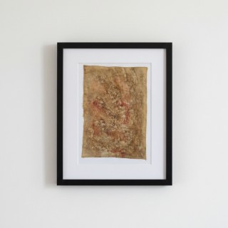 A FRAGMENT FROM ANOTHER PLANET (5) – Plant-Dyed Botanical Art on Cotton Canvas