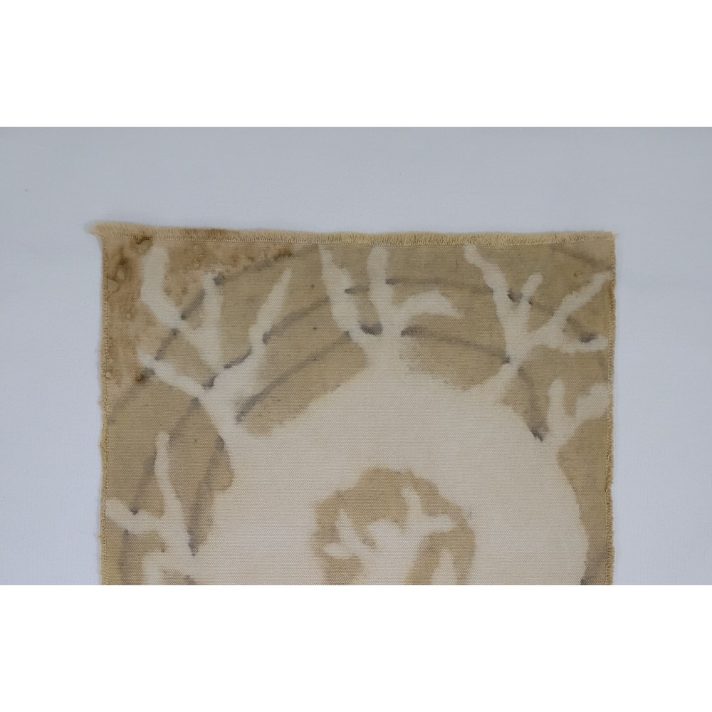 RETURN TO THE ROOTS (6) – Plant-Dyed Botanical Art on Cotton Canvas RETURN TO THE ROOTS (6) – Plant-Dyed Botanical Art on Cotton Canvas