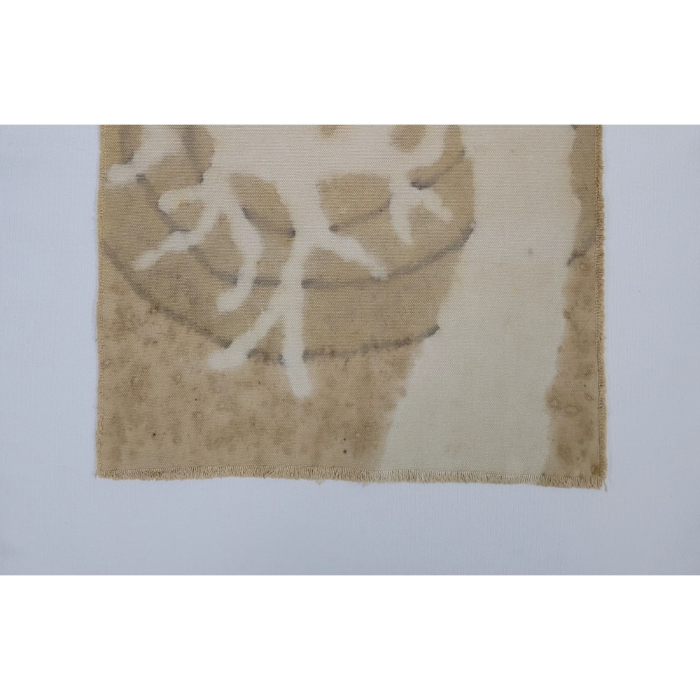 RETURN TO THE ROOTS (6) – Plant-Dyed Botanical Art on Cotton Canvas RETURN TO THE ROOTS (6) – Plant-Dyed Botanical Art on Cotton Canvas