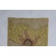 METAMORPHOSIS (7) – Plant-Dyed Botanical Art on Cotton Canvas METAMORPHOSIS (7) – Plant-Dyed Botanical Art on Cotton Canvas