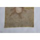 METAMORPHOSIS (7) – Plant-Dyed Botanical Art on Cotton Canvas METAMORPHOSIS (7) – Plant-Dyed Botanical Art on Cotton Canvas