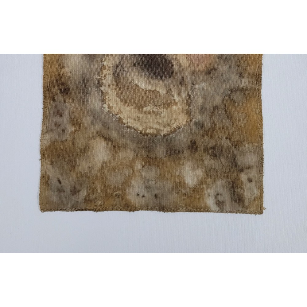 COMMON GROUND (9) – Plant-Dyed Botanical Art on Cotton Canvas COMMON GROUND (9) – Plant-Dyed Botanical Art on Cotton Canvas