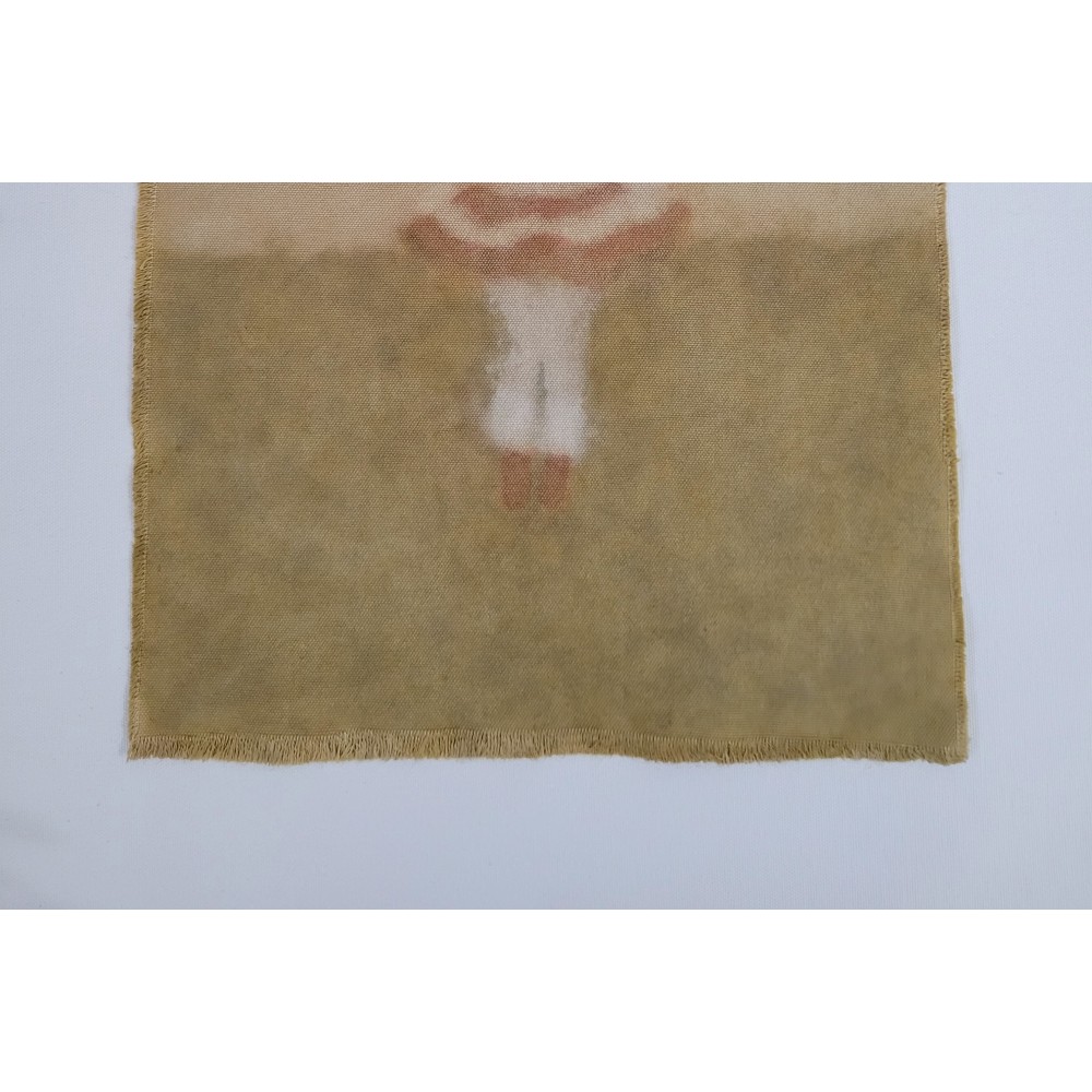 BETWEEN EARTH AND SKY (10) – Plant-Dyed Botanical Art on Cotton Canvas