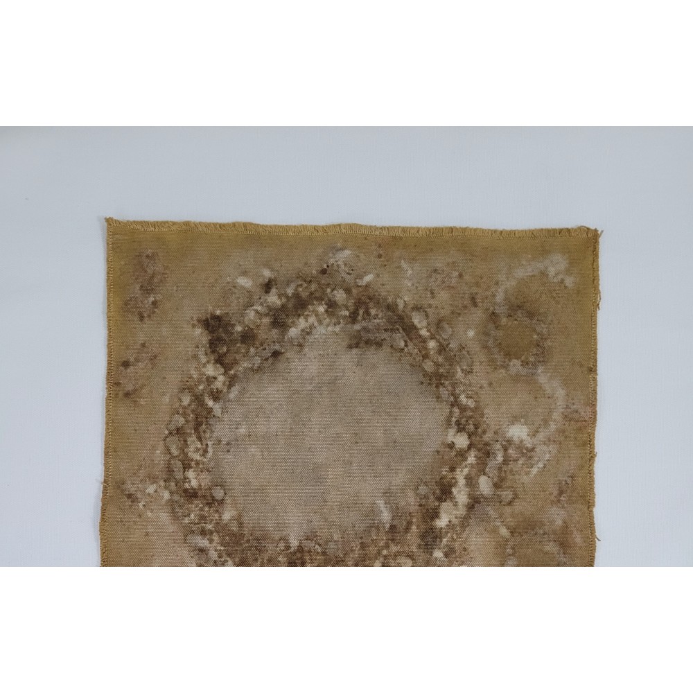 REALMS (11) – Plant-Dyed Botanical Art on Cotton Canvas REALMS (11) – Plant-Dyed Botanical Art on Cotton Canvas
