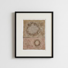 REALMS (11) – Plant-Dyed Botanical Art on Cotton Canvas