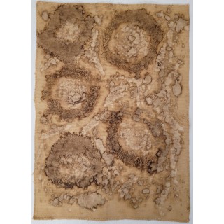 DECAY (14) – Plant-Dyed Botanical Art on Cotton Canvas DECAY (14) – Plant-Dyed Botanical Art on Cotton Canvas