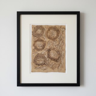 DECAY (14) – Plant-Dyed Botanical Art on Cotton Canvas