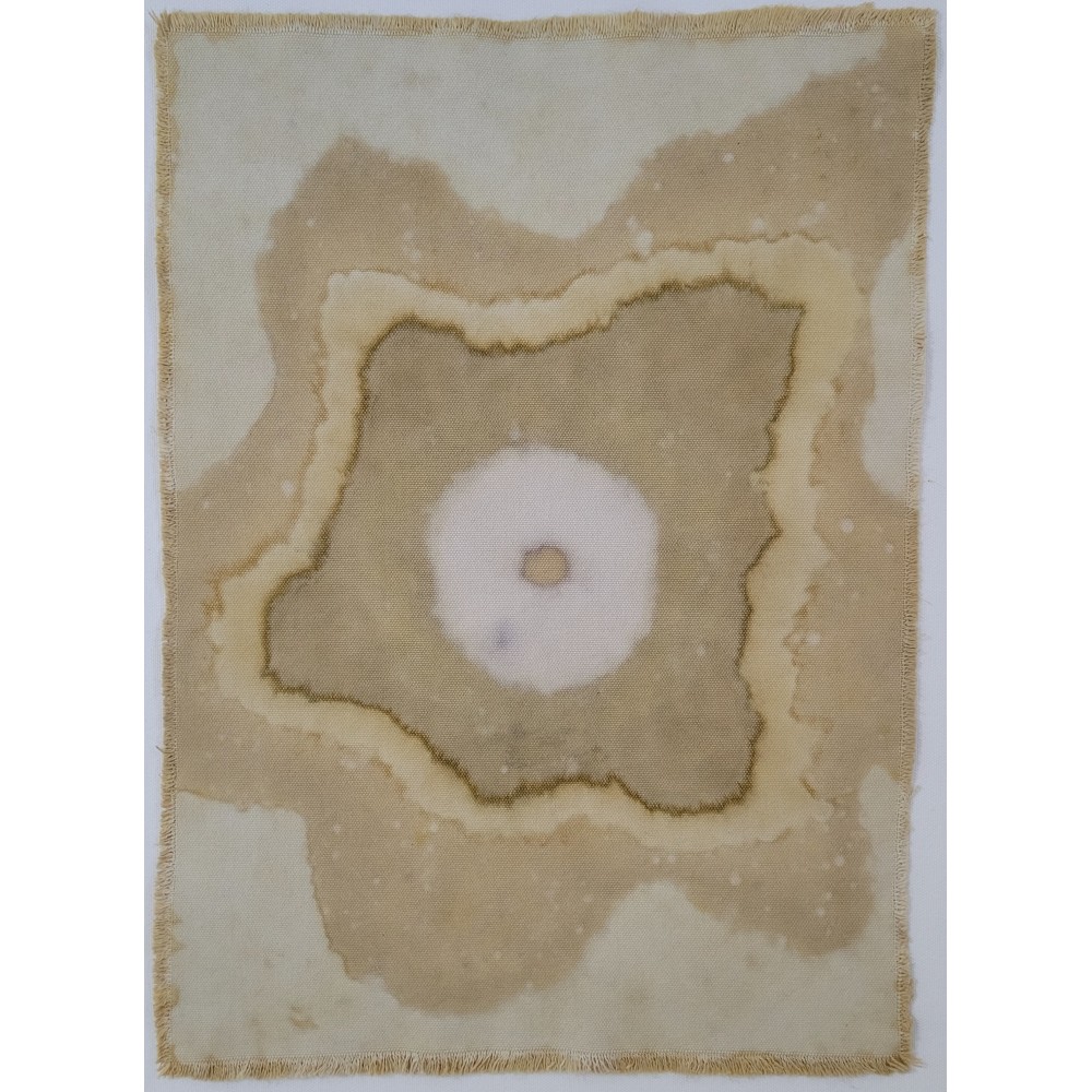CENTRAL ENERGY (16) – Plant-Dyed Botanical Art on Cotton Canvas CENTRAL ENERGY (16) – Plant-Dyed Botanical Art on Cotton Canvas