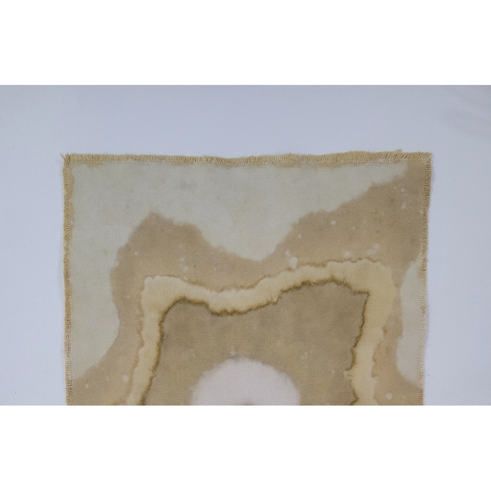 CENTRAL ENERGY (16) – Plant-Dyed Botanical Art on Cotton Canvas CENTRAL ENERGY (16) – Plant-Dyed Botanical Art on Cotton Canvas