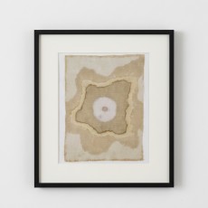 CENTRAL ENERGY (16) – Plant-Dyed Botanical Art on Cotton Canvas