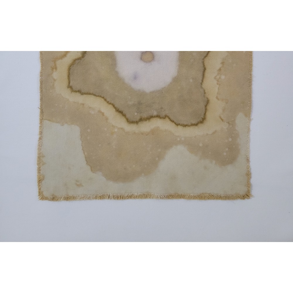 CENTRAL ENERGY (16) – Plant-Dyed Botanical Art on Cotton Canvas CENTRAL ENERGY (16) – Plant-Dyed Botanical Art on Cotton Canvas