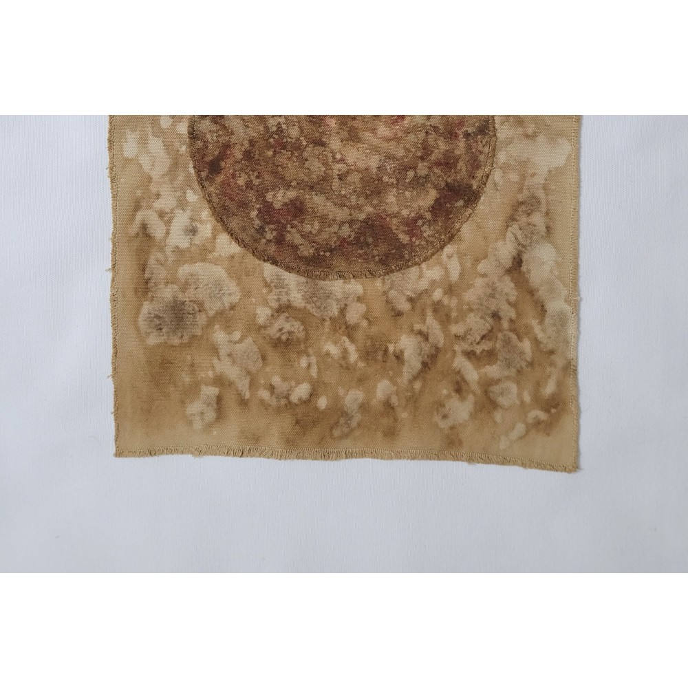 THE HEART OF THE EARTH (17) – Plant-Dyed Botanical Art on Cotton Canvas THE HEART OF THE EARTH (17) – Plant-Dyed Botanical Art on Cotton Canvas