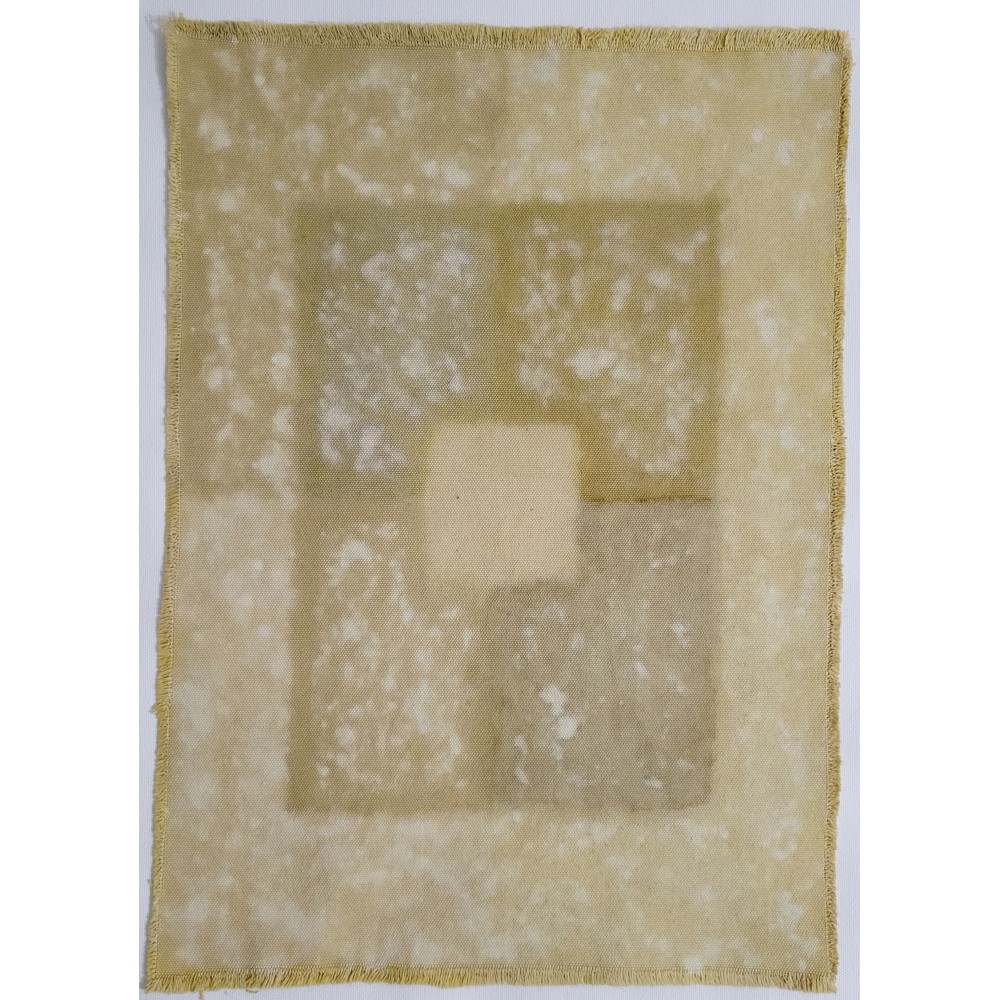 BALANCE (18) – Plant-Dyed Botanical Art on Cotton Canvas BALANCE (18) – Plant-Dyed Botanical Art on Cotton Canvas