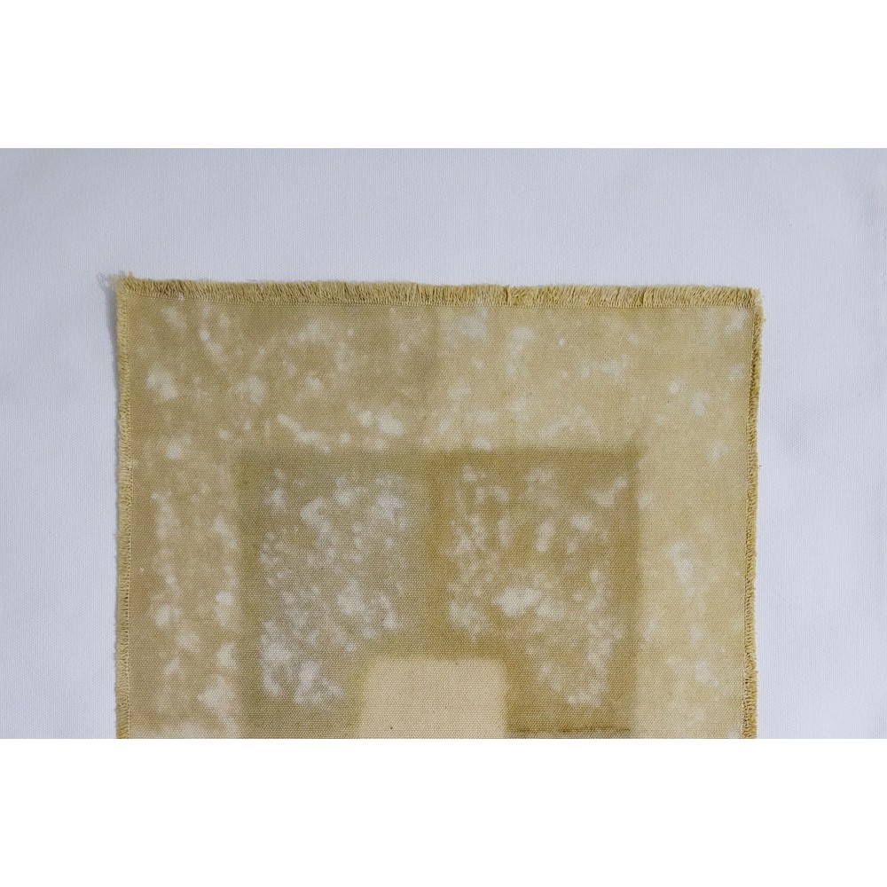 BALANCE (18) – Plant-Dyed Botanical Art on Cotton Canvas BALANCE (18) – Plant-Dyed Botanical Art on Cotton Canvas