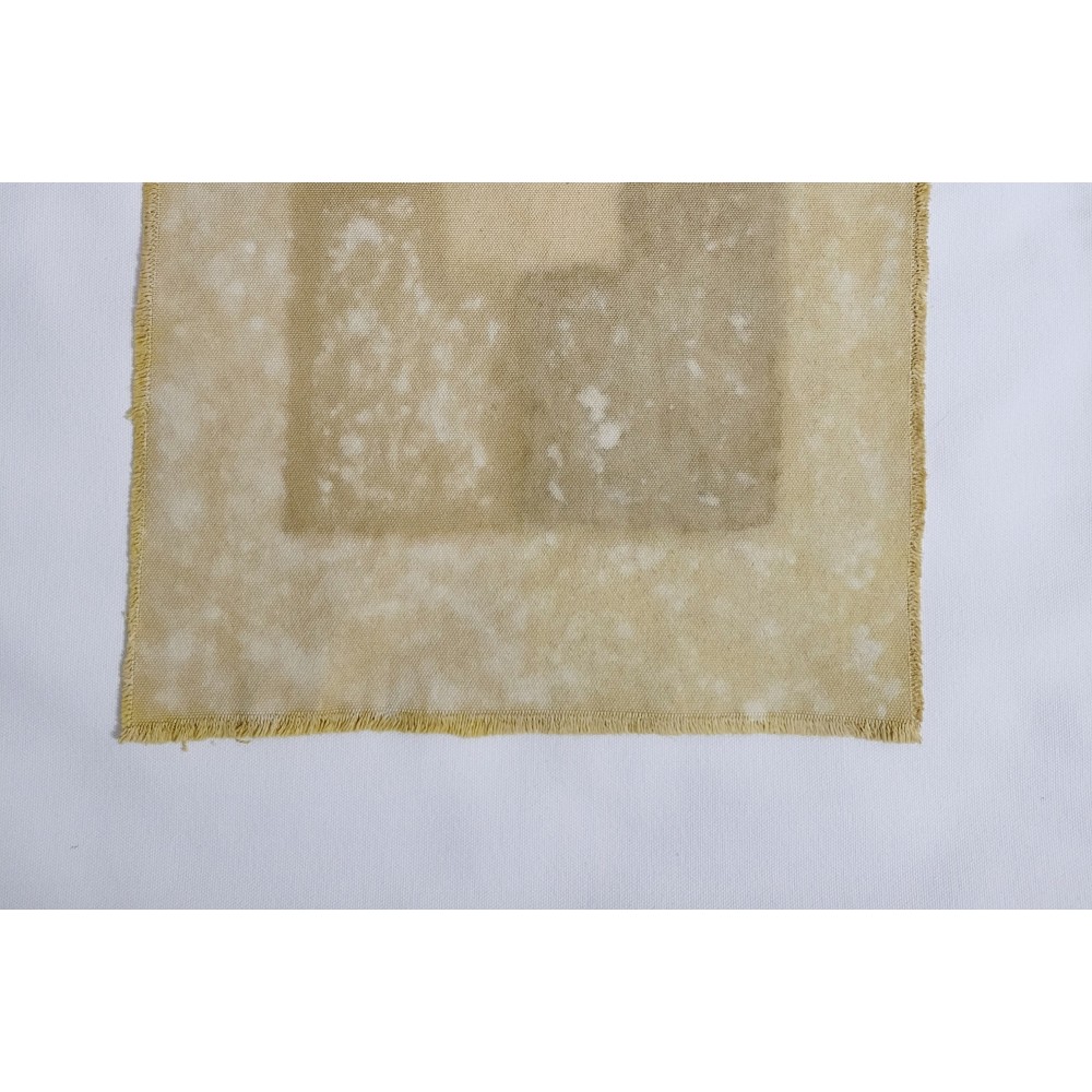 BALANCE (18) – Plant-Dyed Botanical Art on Cotton Canvas BALANCE (18) – Plant-Dyed Botanical Art on Cotton Canvas