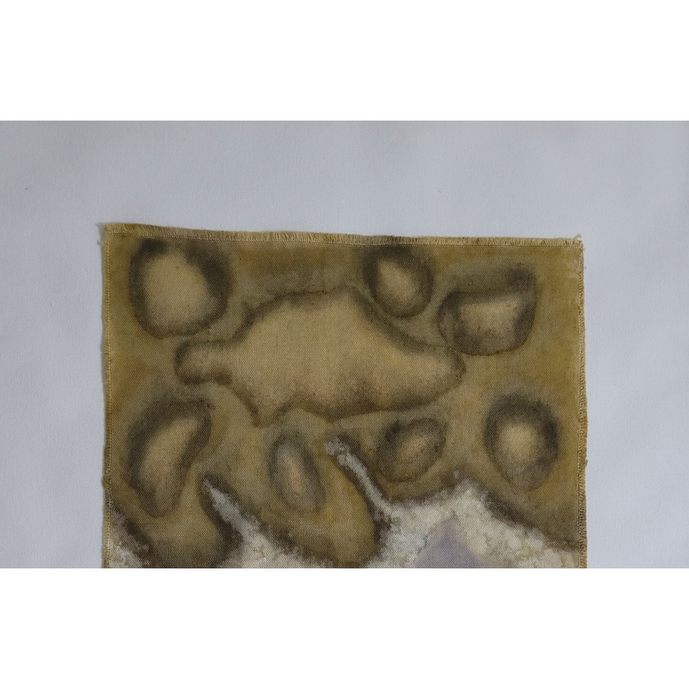 MOTION (19) – Plant-Dyed Botanical Art on Cotton Canvas MOTION (19) – Plant-Dyed Botanical Art on Cotton Canvas