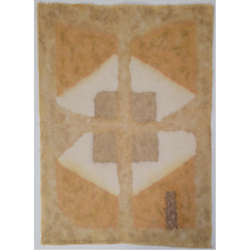 THE GATEWAY TO MULTIDIMENSIONALITY (20) – Plant-Dyed Botanical Art on Cotton Canvas THE GATEWAY TO MULTIDIMENSIONALITY (20) – Plant-Dyed Botanical Art on Cotton Canvas