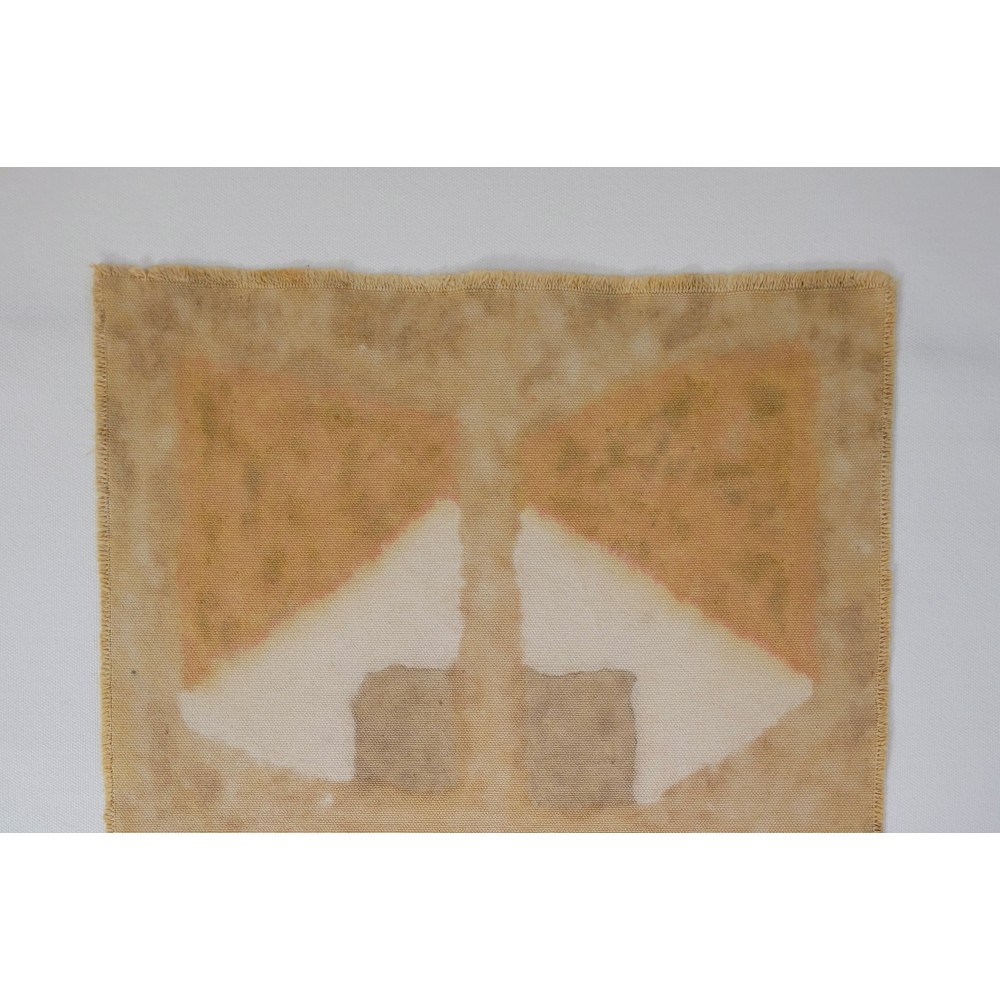THE GATEWAY TO MULTIDIMENSIONALITY (20) – Plant-Dyed Botanical Art on Cotton Canvas THE GATEWAY TO MULTIDIMENSIONALITY (20) – Plant-Dyed Botanical Art on Cotton Canvas