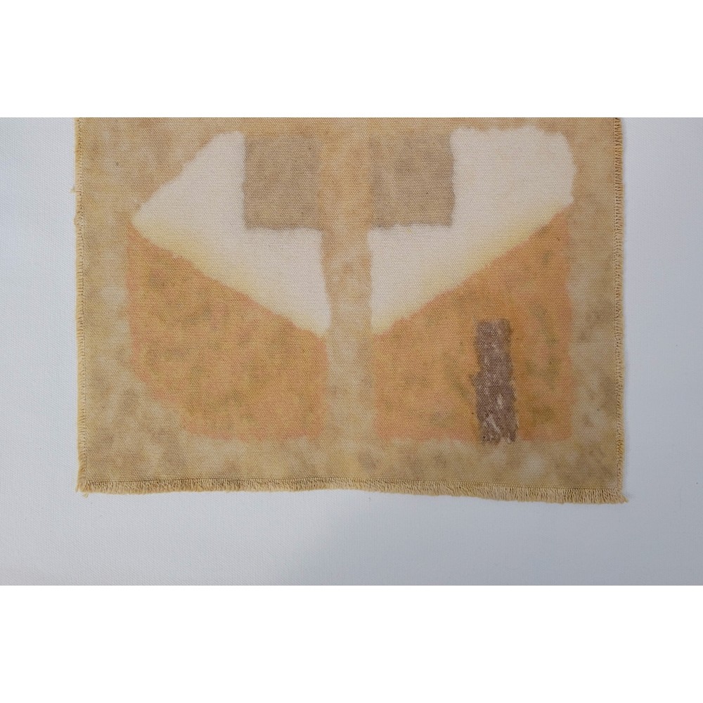 THE GATEWAY TO MULTIDIMENSIONALITY (20) – Plant-Dyed Botanical Art on Cotton Canvas THE GATEWAY TO MULTIDIMENSIONALITY (20) – Plant-Dyed Botanical Art on Cotton Canvas