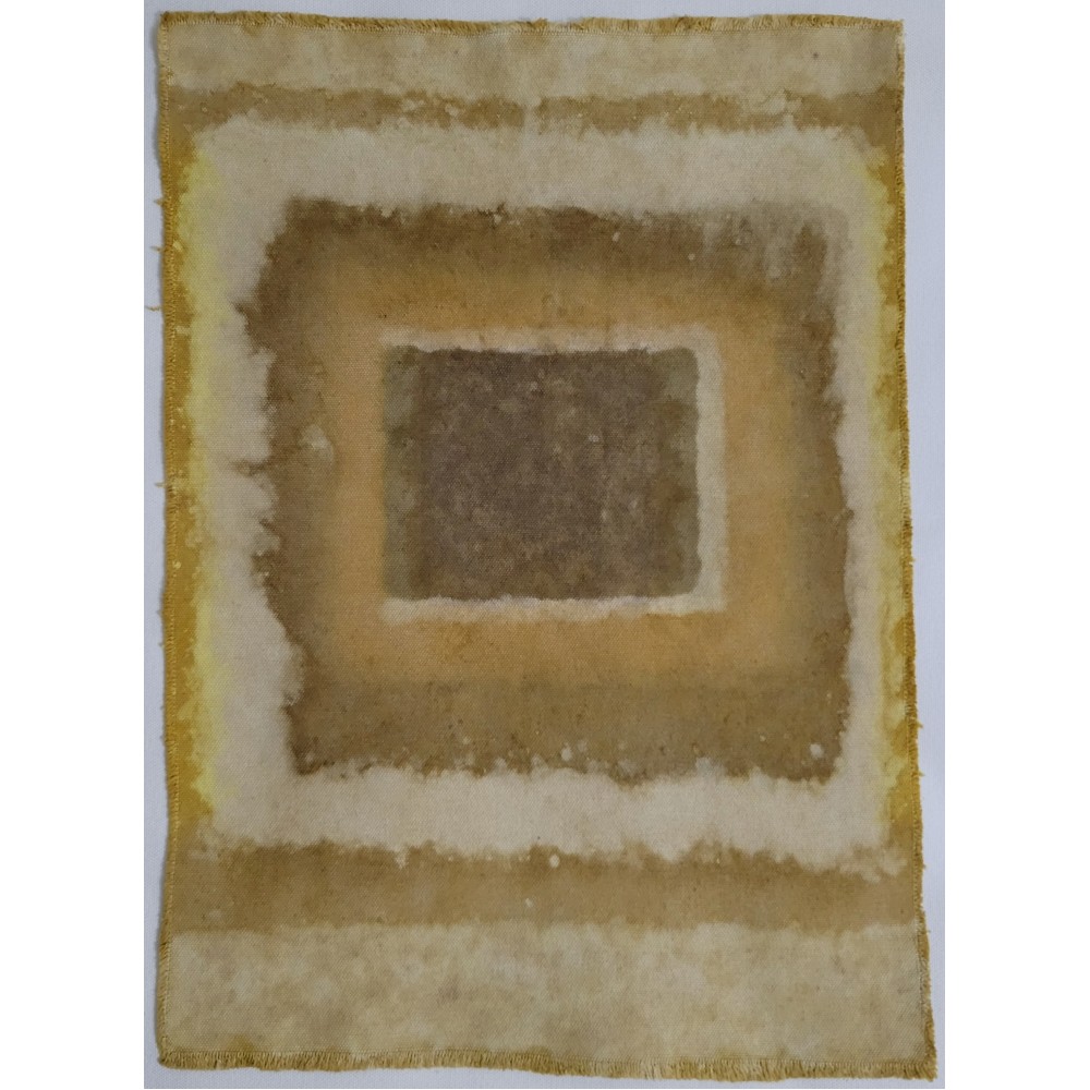 LAYERS OF TIME (22) – Plant-Dyed Botanical Art on Cotton Canvas