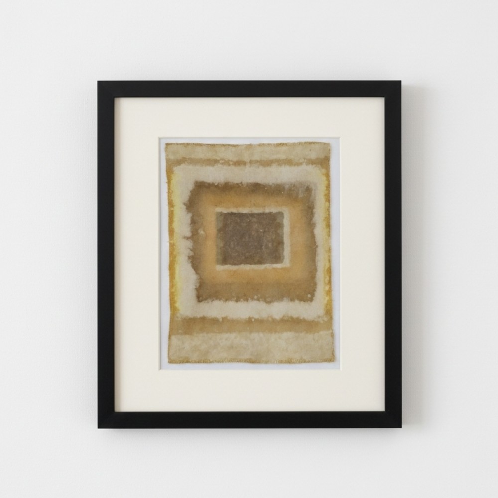 LAYERS OF TIME (22) – Plant-Dyed Botanical Art on Cotton Canvas