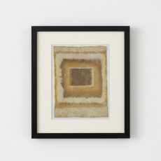LAYERS OF TIME (22) – Plant-Dyed Botanical Art on Cotton Canvas