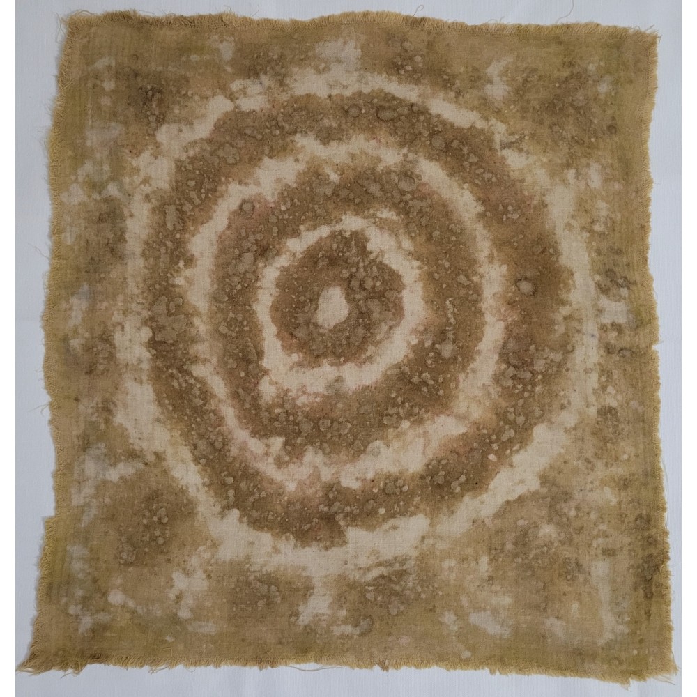MEDITATION (13) – Plant-Dyed Botanical Art on Cotton Muslin MEDITATION (13) – Plant-Dyed Botanical Art on Cotton Muslin