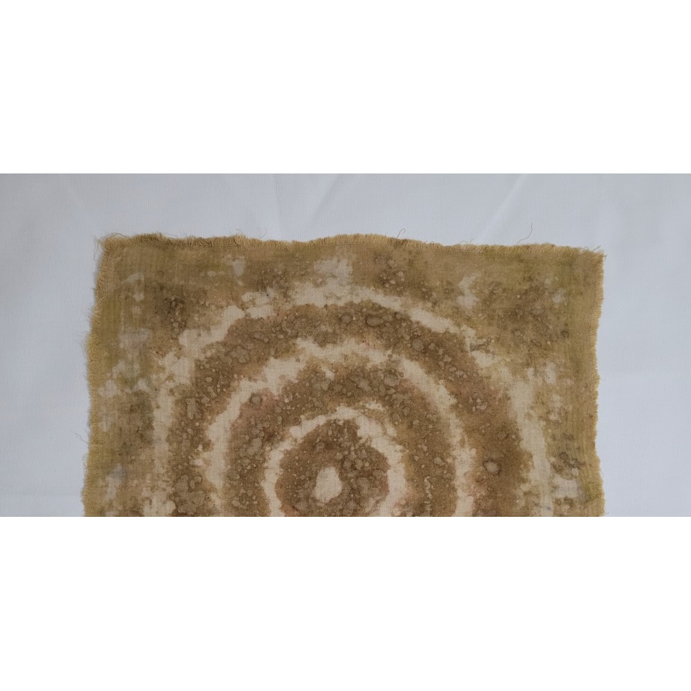 MEDITATION (13) – Plant-Dyed Botanical Art on Cotton Muslin MEDITATION (13) – Plant-Dyed Botanical Art on Cotton Muslin