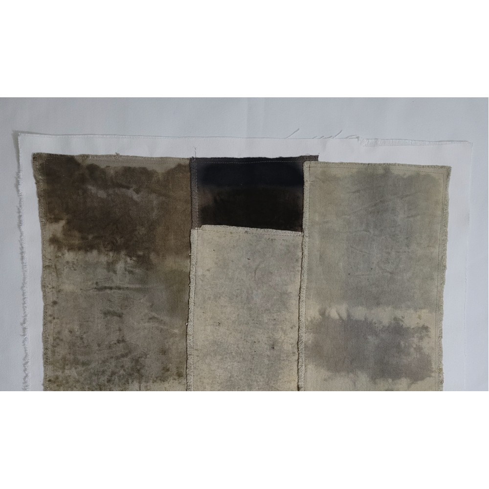 TIME (8) – Plant-Dyed Botanical Art on Cotton Canvas with Iron Sulphate