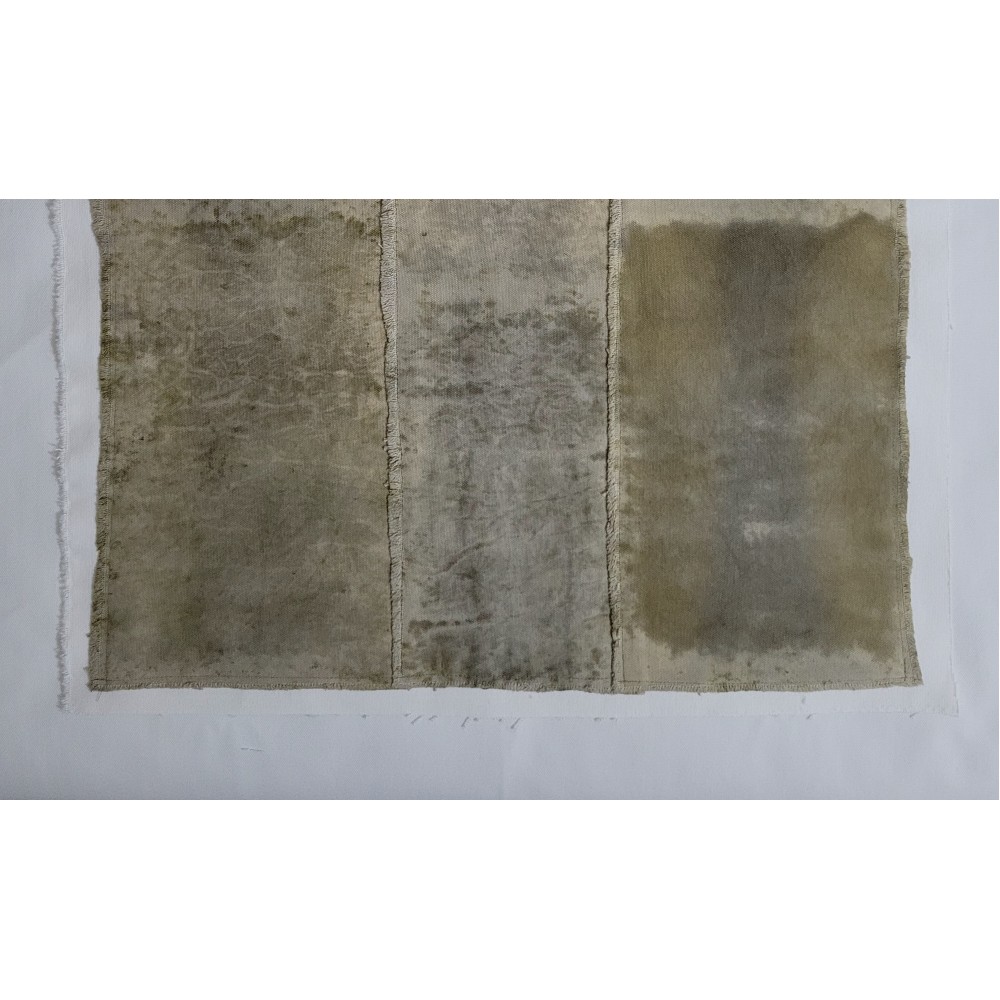 TIME (8) – Plant-Dyed Botanical Art on Cotton Canvas with Iron Sulphate