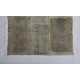 TIME (8) – Plant-Dyed Botanical Art on Cotton Canvas with Iron Sulphate